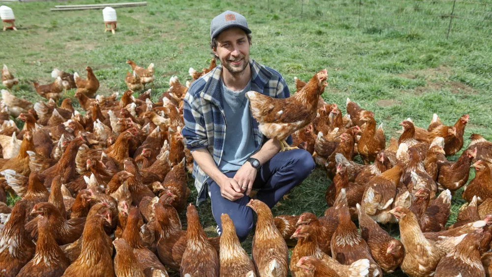 26.3.2025 - Kmetija Monera - MihaFoto: Luka Cjuha