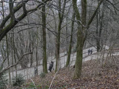 - 11.12.2024 - gozd pod Ljubljanskim gradom//FOTO: Jaka Gasar