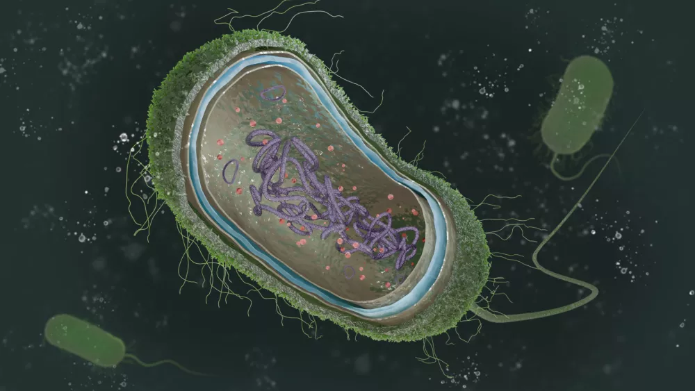 Na tej sliki je bakterija. Morda je imel na&scaron; skupni prednik podobno zgradbo. / Foto: Istock