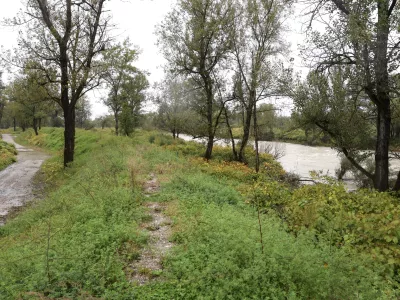 V Sneberju &scaron;e evdno čakajo na nov nasip ob reki Savi. Foto: Jaka Gasar