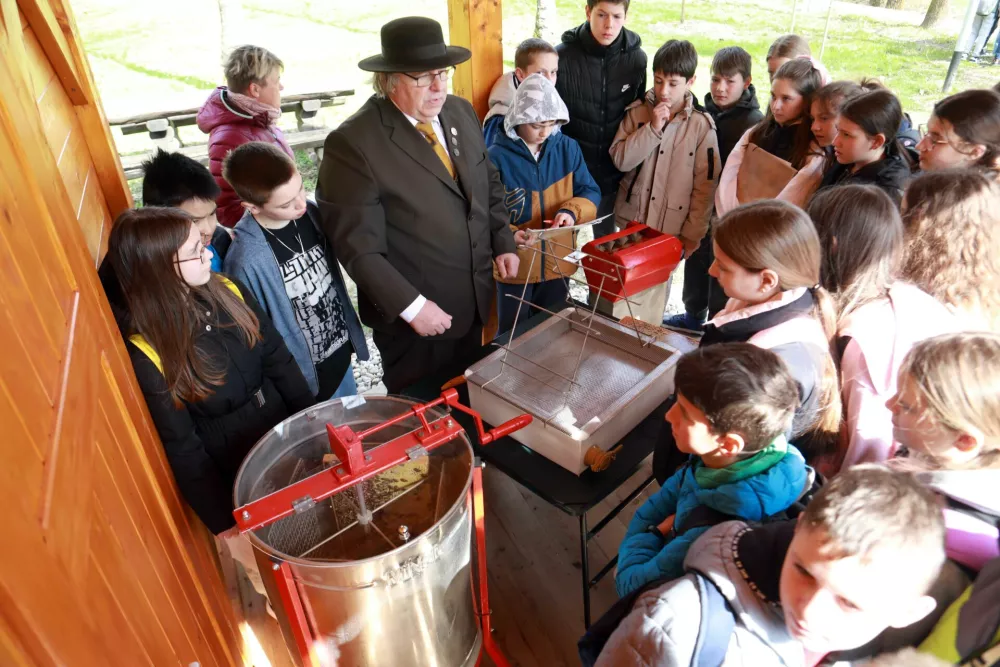 Milan Burja je črnu&scaron;kim učencem pokazal, kako iz satovja pridobivajo med. Foto: Tomaž Skale