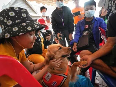 K9 named Lek works as an emotional support with relatives of workers of a high-rise building under construction that collapsed after Friday's earthquake in Bangkok, Thailand, Tuesday, April 1, 2025. (AP Photo/Sakchai Lalit)