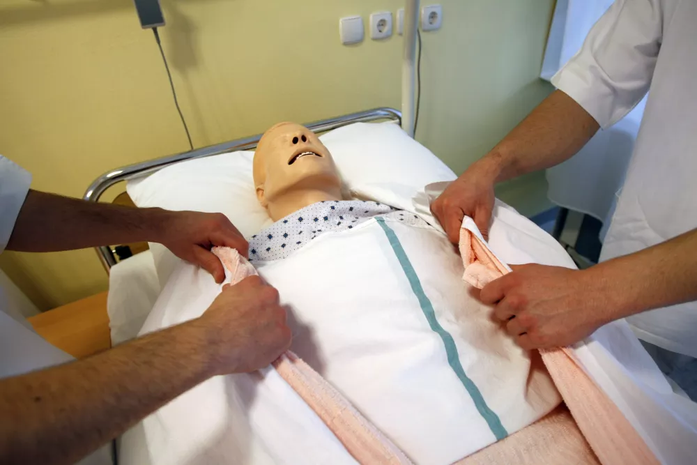 Mladi pa se raje zaposlujejo drugje. / Foto: Tomaž Skale