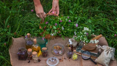 A woman collects medicinal herbs. / Foto: Anna Solovei