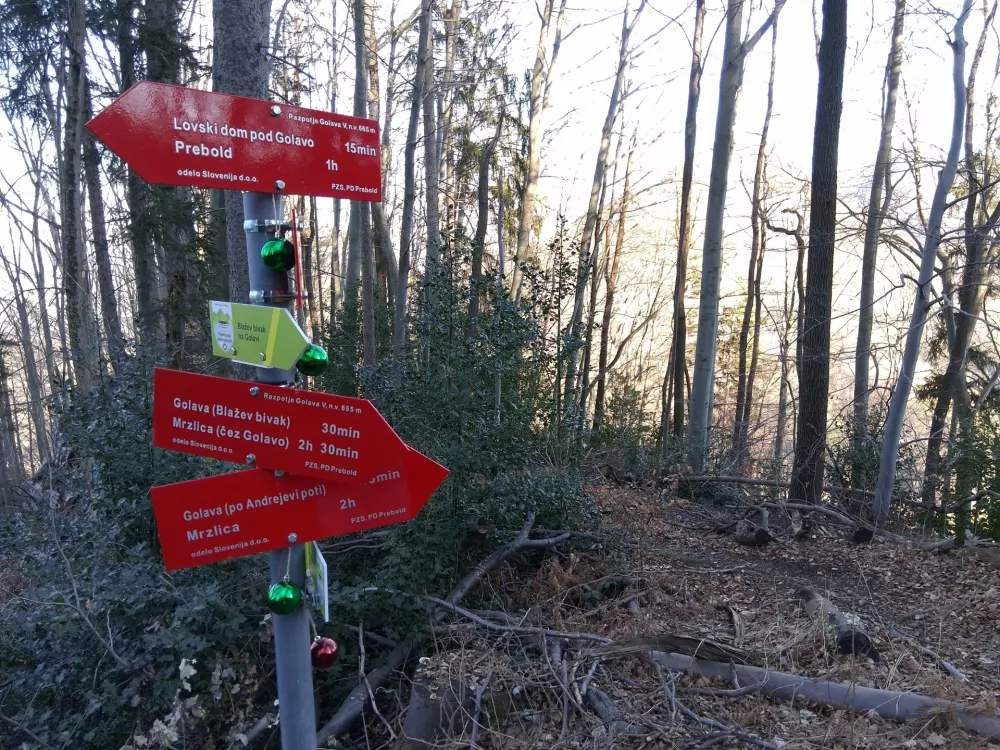 Razpotje, kjer se lahko odločimo, ali nadaljujemo po delno zahtevni Andrejevi poti ali po običajni poti na Golavo. Do sem nas pripelje tudi pot iz Matk. / Foto:&nbsp;Katja Petrovec