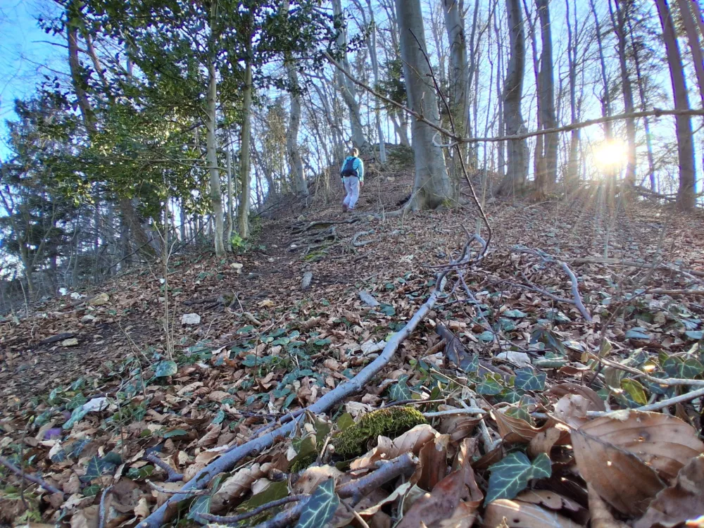 Običajna pot na Golavo poteka po dolgem grebenu, ki je ponekod &scaron;irok, proti vrhu pa vse ožji. / Foto:&nbsp;Katja Petrovec