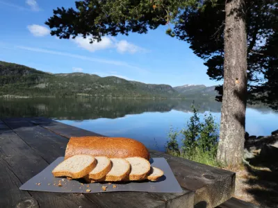 Kneipp bread in Norway (Norwegian language: kneippbrod). Most popular type of bread in Norway, made of whole wheat flour. / Foto: Tupungato