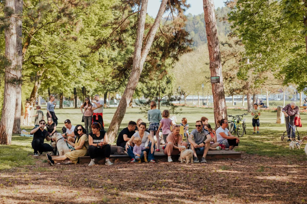 Pasji koncert na lanskem Janus festivalu v Celju F arhiv festivala