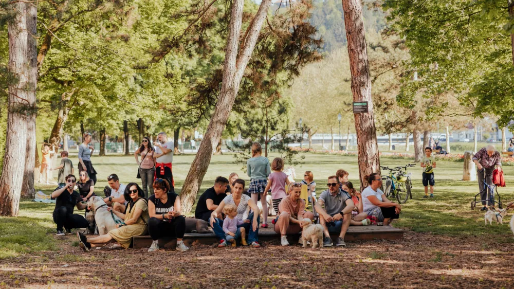 Pasji koncert na lanskem Janus festivalu v Celju F arhiv festivala