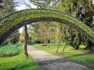 V Mozirskem gaju se je že začela razstava tulipanov in pomladnega cvetja. Foto Tanja Skok 