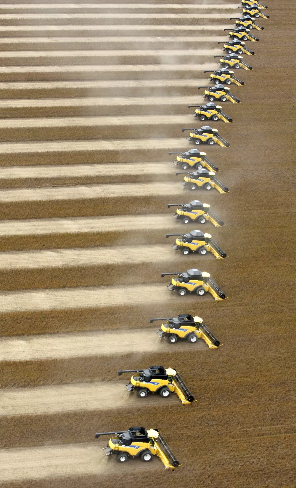 Workers harvest soy in a farm in Correntina, Bahia April 1, 2010. Brazil's 2009/10 soybean production is estimated to be 67.5 million tonnes. REUTERS/Paulo Whitaker  (BRAZIL - Tags: BUSINESS AGRICULTURE)