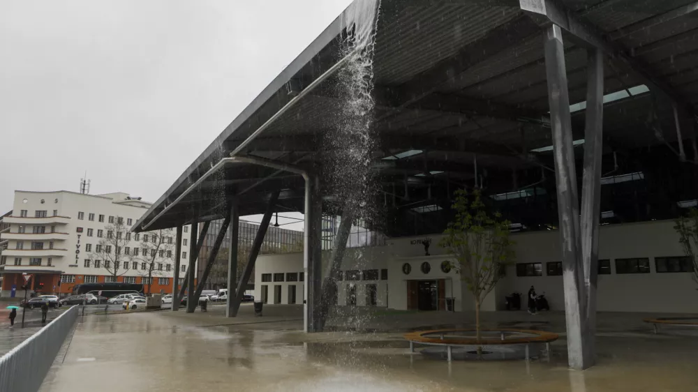 ilirija, foto luka cjuha