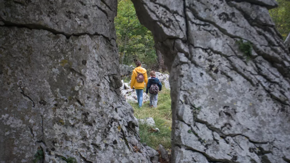 Vabilo velja tudi na ogled živega muzeja v okolici Sežane. F Jo&scaron;t Gantar