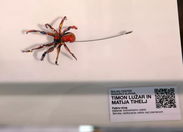 Dijaka iz &Scaron;olskega centra Roga&scaron;ka sta navdu&scaron;ila s steklenim nakitom.&nbsp;Foto:&nbsp;Tomaž Skale