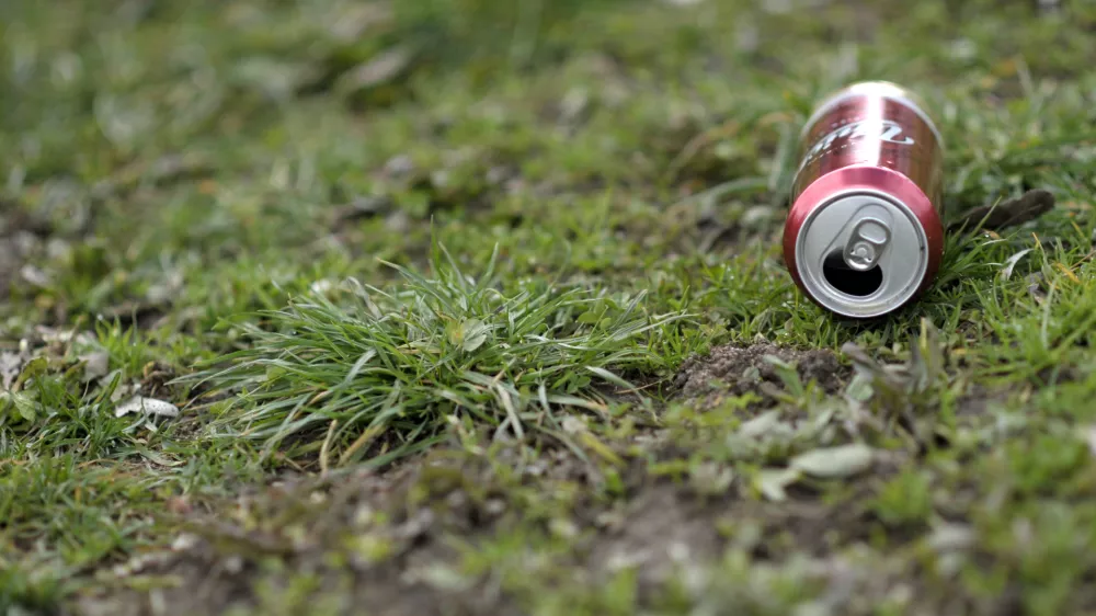 - ilustrativna fotografijaUnion,pivo,alkohol,pločevinka    //FOTO: Tomaž Zajel&scaron;nik