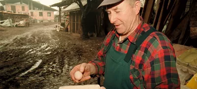 Stane Kermavner, jajca kmet