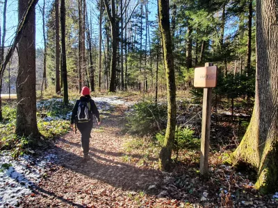 Gozdna učna pot Draga pri Igu se dviga nad ribniki v Dragi pri Igu in je označena z markacijo belega lokvanja. Foto: Zavod za gozdove Slovenije