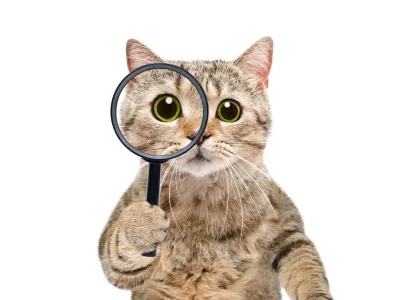 Ali nemara i&scaron;če svoji prijateljici? Pomagajte ji torej tudi vi. / Foto: Istock