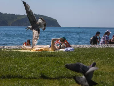 - 29.04.2024. Sončenje na mestni plaži v Izoli.- Turizem, kožni rak, galeb, sobivanje človeka in narave. //FOTO: Bojan Velikonja