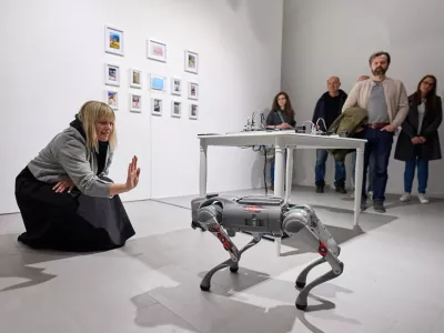 Tehno festival Celje, robotski pes