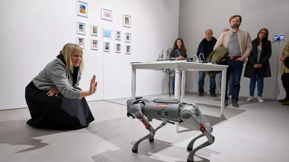 Tehno festival Celje, robotski pes