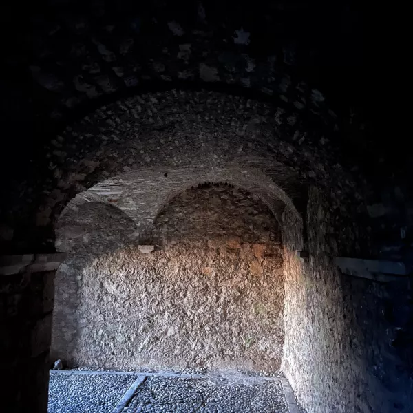 Netopirji na gradu Rihemberk. Foto: Bo&scaron;tjan Perov&scaron;ek