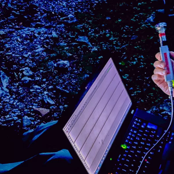 33-minutno skladbo Bo&scaron;tjana Perov&scaron;ka sestavljajo ljudem sli&scaron;ni nočni zvoki, ki se jim pridružijo zvoki netopirjev v ultrazvočnem spektru, primerno obdelani in prestavljeni v človeku sli&scaron;no frekvenčno območje. Netopirjevim glasovom se pridružijo tudi ostali (predvsem) nočni zvoki, ki imajo funkcijo zvočnega ozadja. Foto: osebni arhiv skladatelja