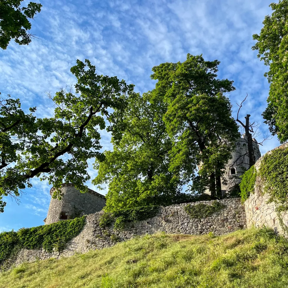 Prostor zvočne skulpture je sestavljen iz notranjega (grajskega), oddaljenega gozdnega in sredinskega prostora, ki ga predstavlja zunanji plato okoli gradu. Foto: Bo&scaron;tjan Perov&scaron;ek