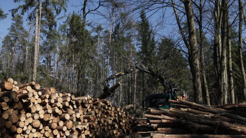 Če je po eni strani veliko govora o skoraj obvezni gospodarski rasti, ko pride recesija, pa nastane cela drama, na drugi strani ne moremo govoriti, da bomo imeli manj izpustov, je pojasnil vodja oddelka za prirastoslovje in gojenje gozdov na Gozdarskem in&scaron;titutu Slovenije Tom Levanič. Foto: Luka Cjuha&nbsp;