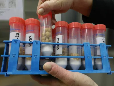 Semenska banka krompirja, žlahtnenje krompirja, Kmetijski in&scaron;titut Slovenije, Beti Komotar, vodja semenske banke