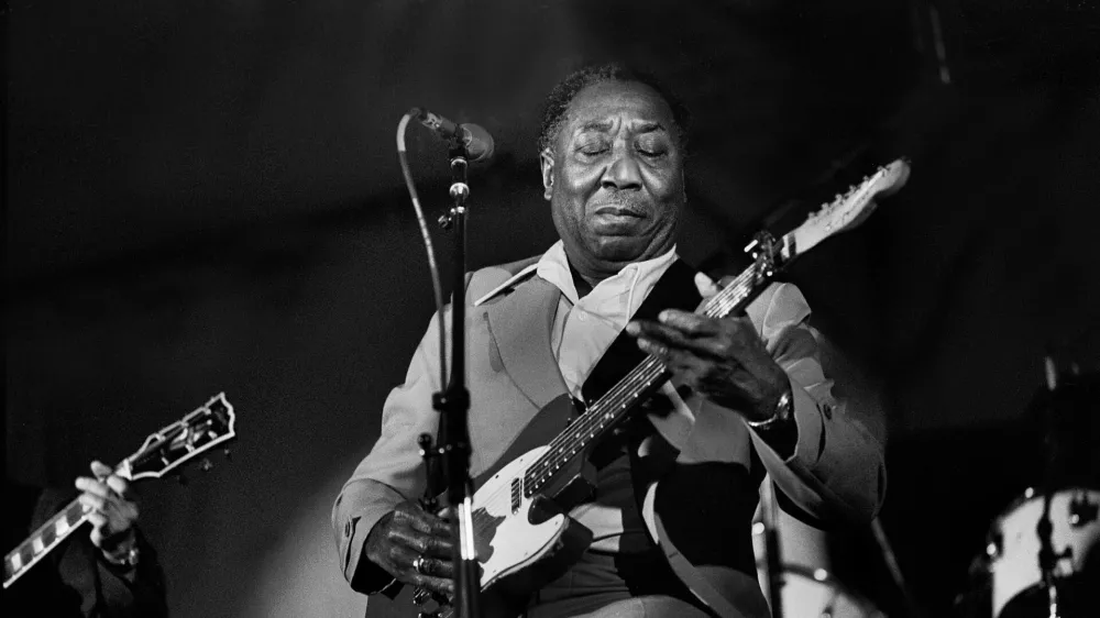 Muddy Waters. F Getty Images)