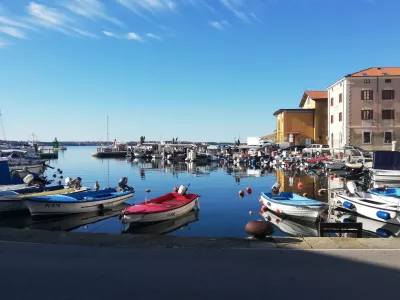 Piranski mandrač Vesna Levičnik