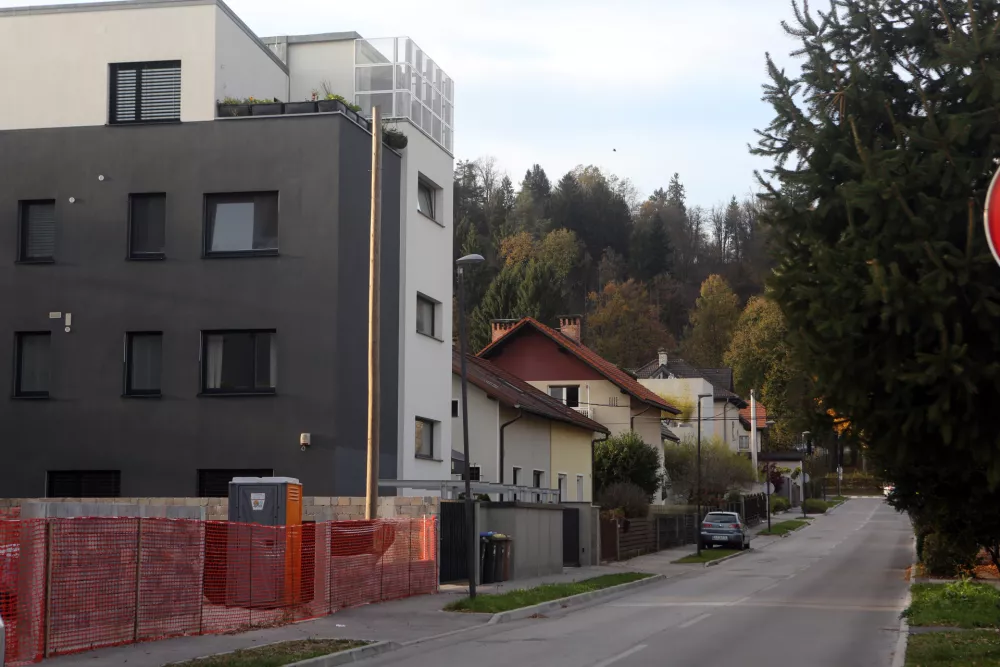 Mestna občina Ljubljana je v Rožni dolini razprodala vsa javna zemlji&scaron;ča, zato danes ne more zgraditi nobene javne institucije. / Foto: Bojan Velikonja