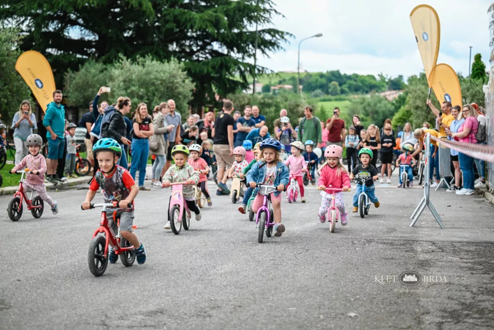 Za malčke prirejajo prav posebno dogajanje - Male junake Vinogradov - poligonček in dirko s poganjalci ter Mini maraton za otroke do 10 leta starosti. F Damijan Simčič