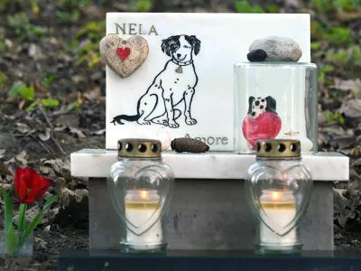 Obtoženi naj bi upepelil le večje živali, njihov pepel pa razdelil med več lastnikov. Foto: Reuters