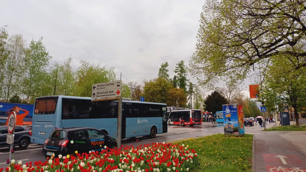 Po lanski rekordni turistični sezoni se v Kranju tudi letos nadejajo trenda rasti turističnega obiska in novih mejnikov. Foto: Tina Jereb