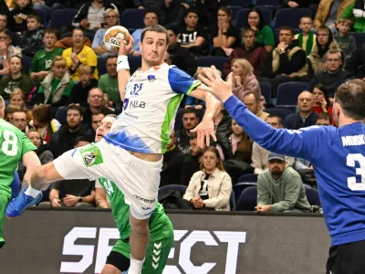 rokomet, slovenija, litva, tarik mlivić