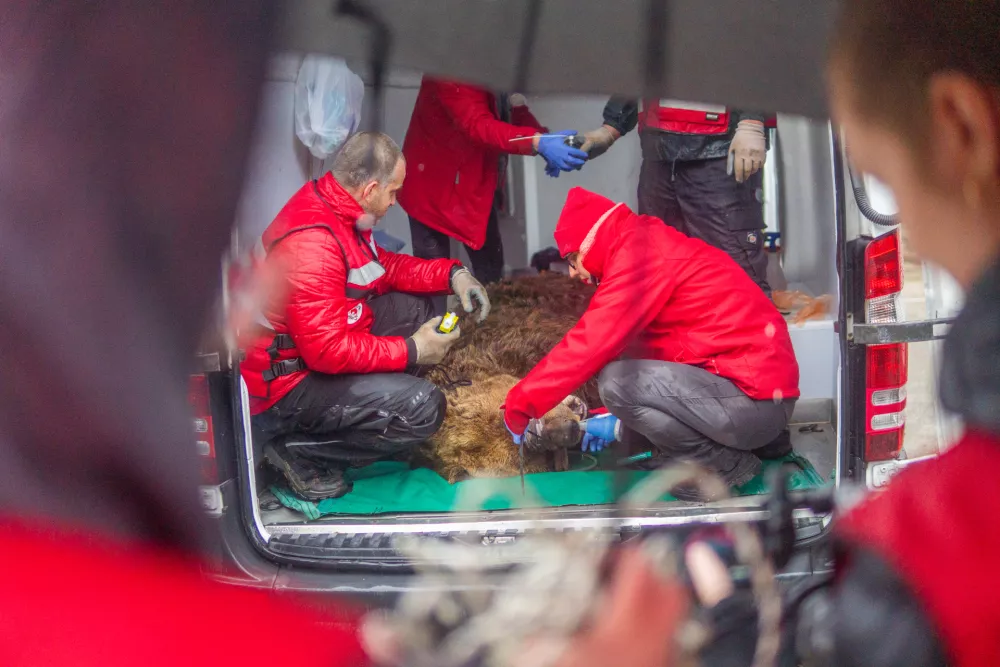 Ekipa, ki je spremljala na&scaron;ega Felixa na poti v Avstrijo.. F Four Paws