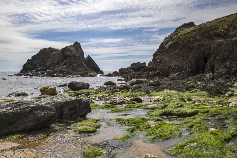 Plaža Soar Mill Cove v bližini Salcombea v južnem Devonu uvr&scaron;ča med najlep&scaron;e v Združenem kraljestvu. F iStock