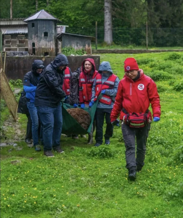 Vrnitev medveda Felixa.
