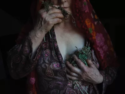 Zeli&scaron;čarski motiv fotografinje Katje Goljat na razstavi Gledala sem, kako trava raste F Katja Goljat