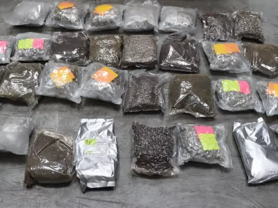 zaseg konoplje PU Koper