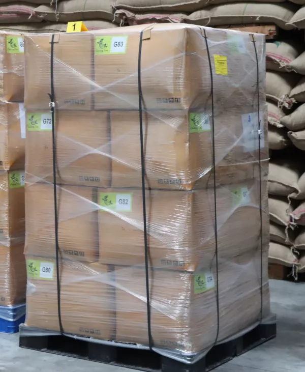 zaseg konoplje PU Koper