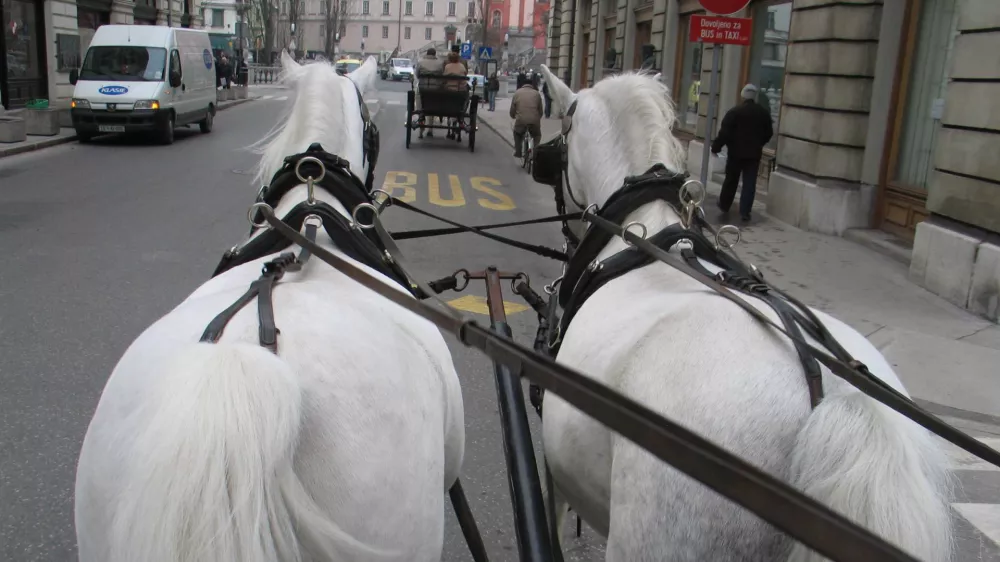 kobilarna v ljubljani, konjska vprega, kočija, Ljubljana