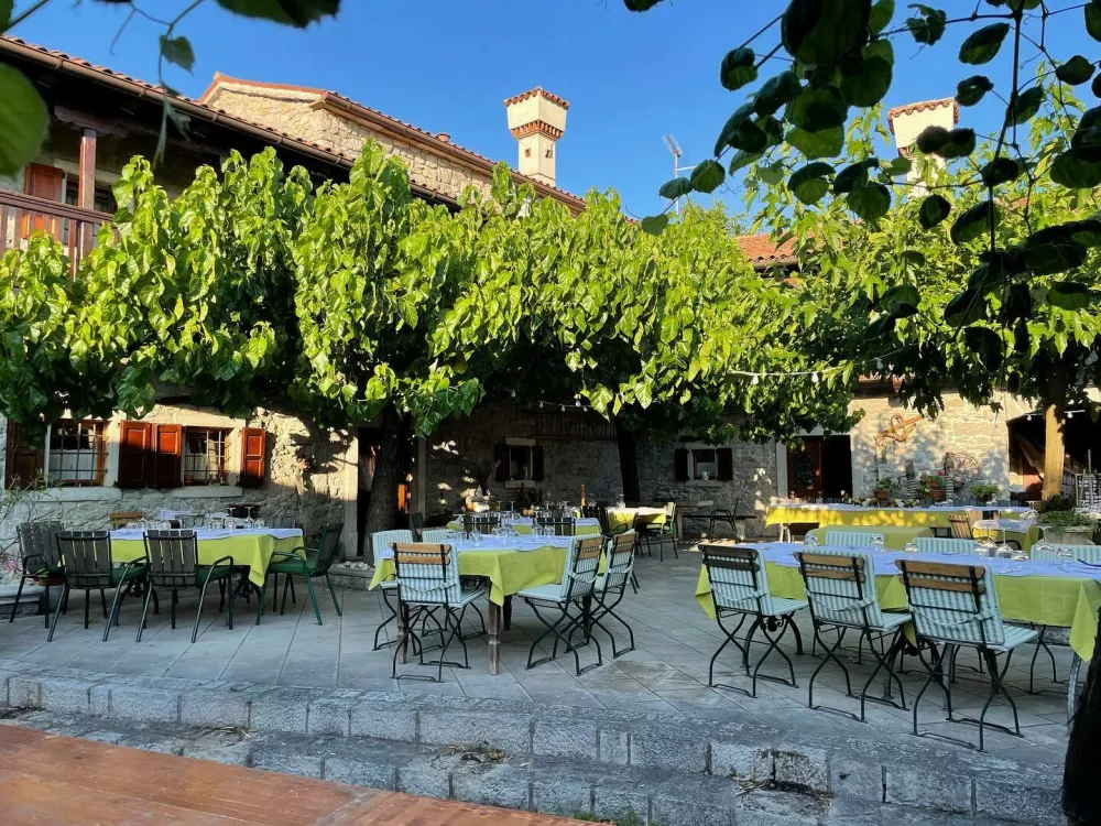 Domačija &Scaron;ajna