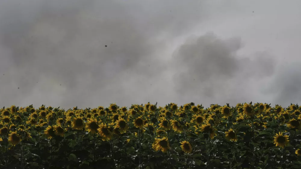 Smoke rises following an Israeli army airstrike in northern Gaza Strip, seen behind a sunflower field in southern Israel, Friday, May 16, 2025. (AP Photo/Maya Alleruzzo)