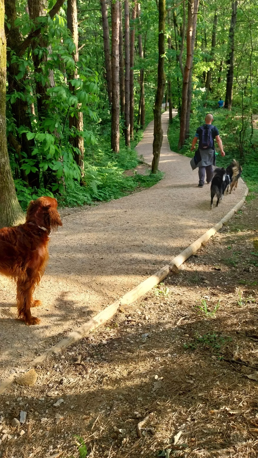 Učna pot poteka na PST in je zato tudi varna za družine.&nbsp;Foto: Vesna Levičnik