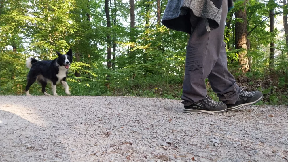 &raquo;Koliko čevljev je od enega do drugega &scaron;tora?&laquo; se bere vpra&scaron;anje na eni od točk. Namig: od osem do deset.&nbsp;Foto: Vesna Levičnik