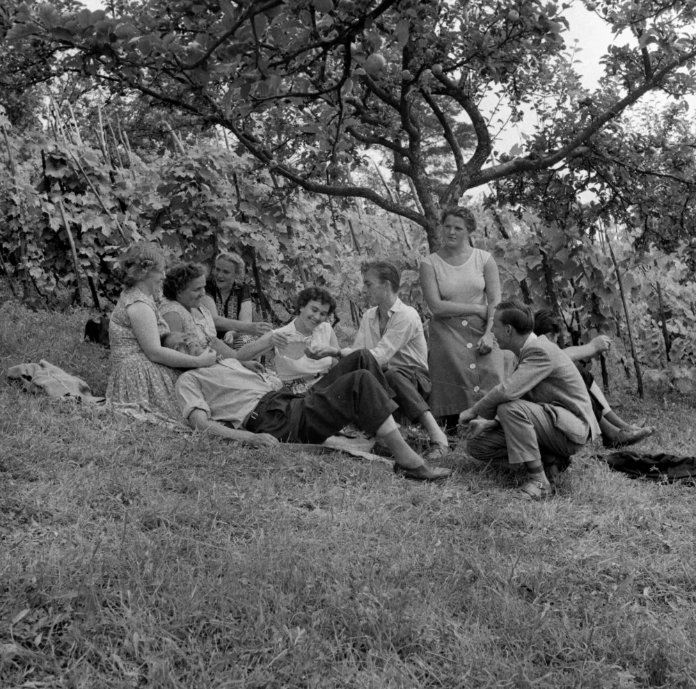 Junij je most med pomladjo in poletjem