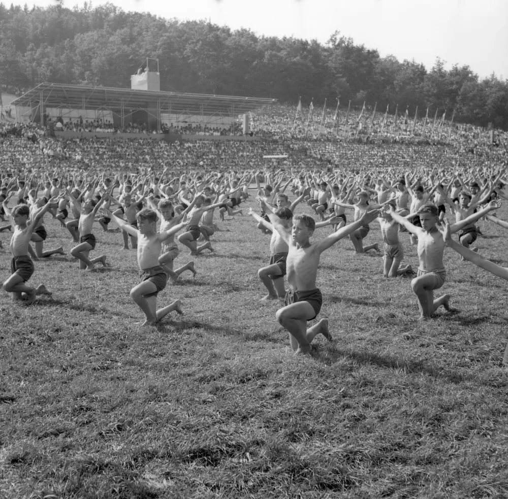 Junij je most med pomladjo in poletjem